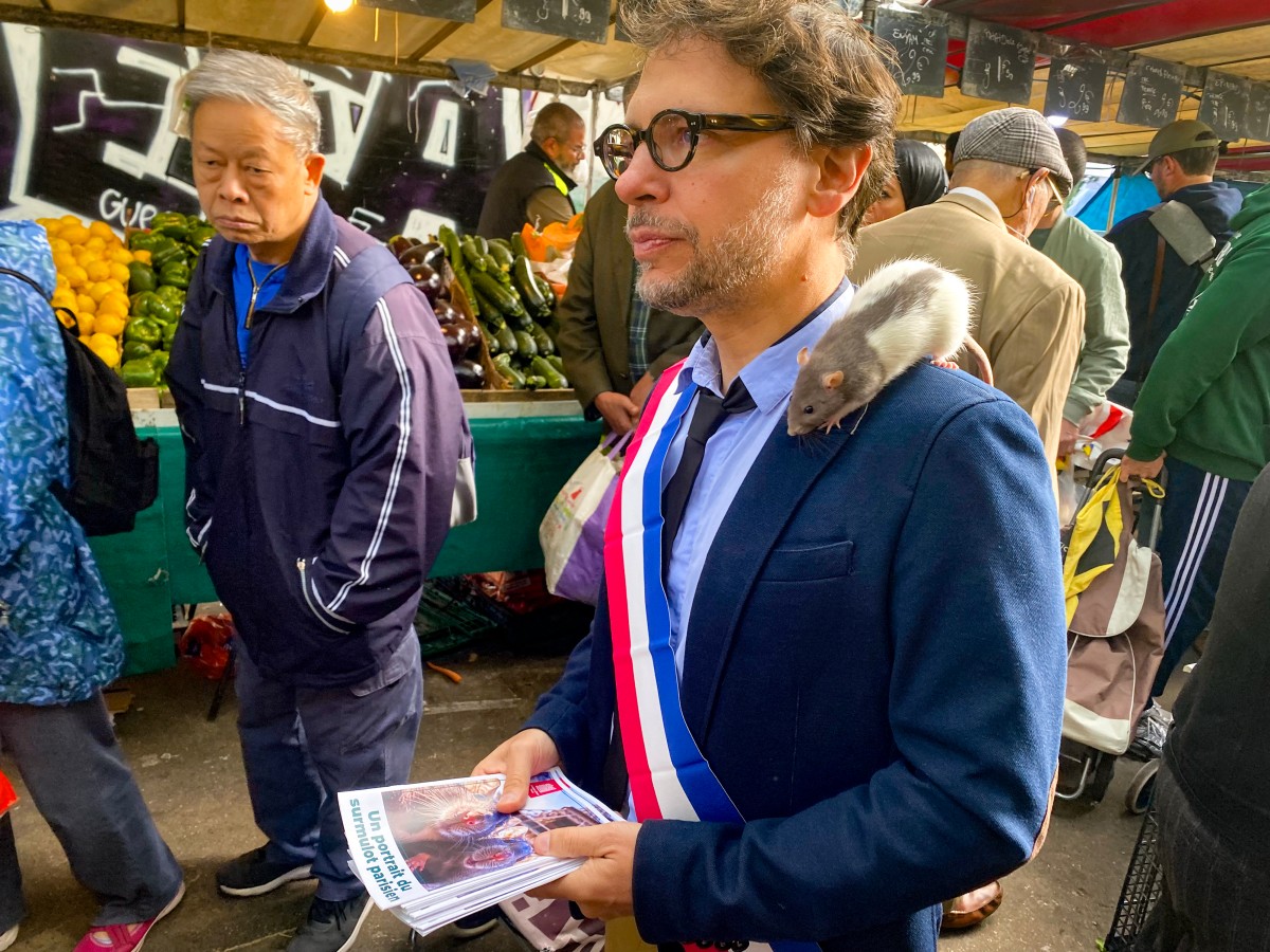 Las ratas de París encuentran un aliado político inesperado