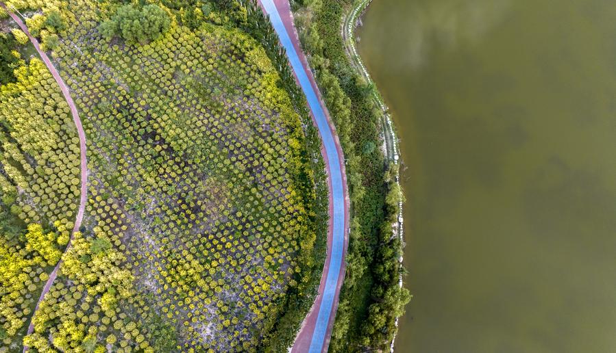 China, Japón y República de Corea firman plan de acción de cooperación ambiental 2026-2030