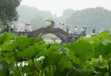 China, Japón y República de Corea firman plan de acción de cooperación ambiental 2026-2030