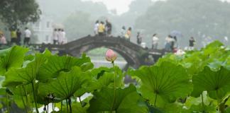 China, Japón y República de Corea firman plan de acción de cooperación ambiental 2026-2030
