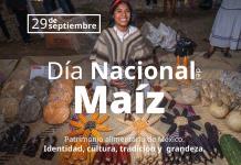 TEXOLOTL [DIA NACIONAL DEL MAIZ] 29-SEPTIEMBRE-2025
