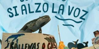 Organizaciones ambientalistas piden frenar expansión de un megaproyecto de gas fósil en Golfo de California