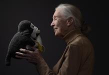 Muere la reconocida etóloga Jane Goodall a los 91 años