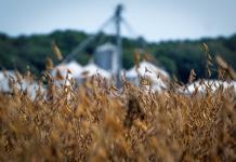 Gobierno de EEUU promete ayuda significativa a los agricultores