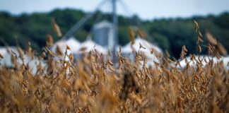 Gobierno de EEUU promete ayuda significativa a los agricultores