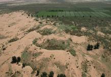 El precio de la Gran Muralla Verde, la gran apuesta ecológica de China