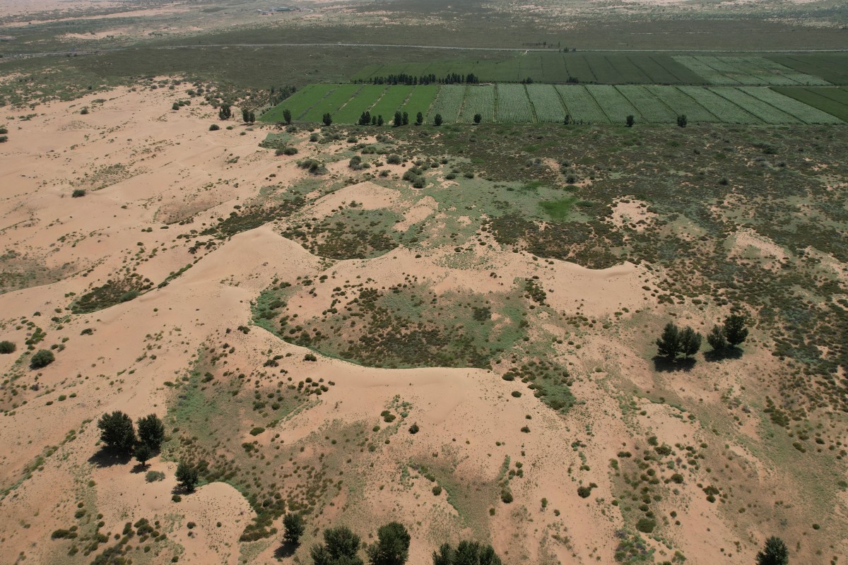 El precio de la Gran Muralla Verde, la gran apuesta ecológica de China