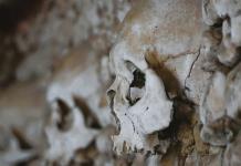 Un cráneo de un millón de años hallado en China podría reescribir la historia de la evolución humana