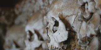 Un cráneo de un millón de años hallado en China podría reescribir la historia de la evolución humana