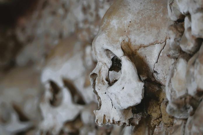 Un cráneo de un millón de años hallado en China podría reescribir la historia de la evolución humana Un cráneo de un millón de años hallado en China podría reescribir la historia de la evolución humana
