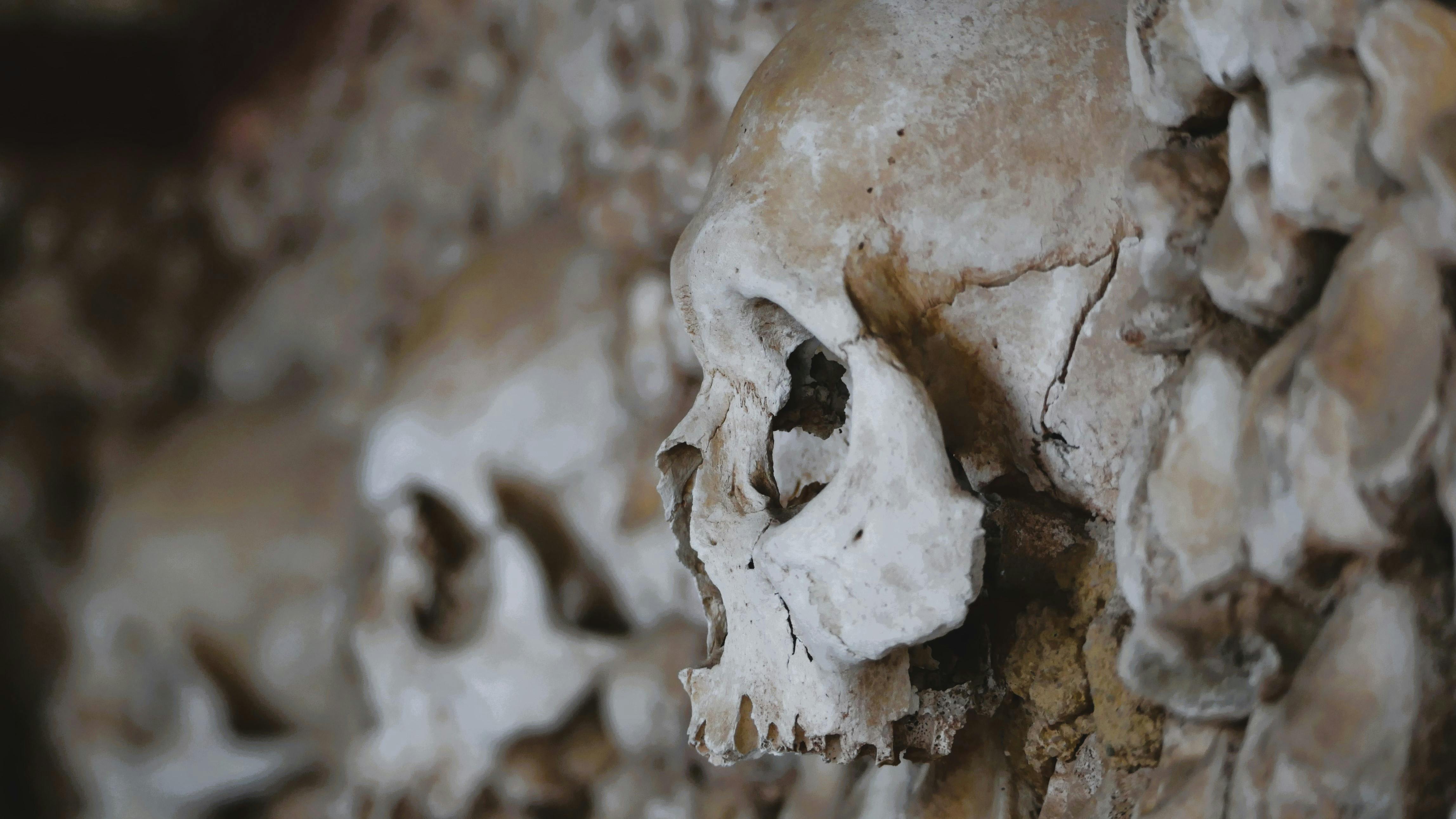 Un cráneo de un millón de años hallado en China podría reescribir la historia de la evolución humana