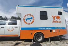 Arranca en Jalisco campaña gratuita de esterilización y vacunación para mascotas en octubre