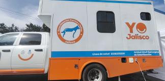 Arranca en Jalisco campaña gratuita de esterilización y vacunación para mascotas en octubre