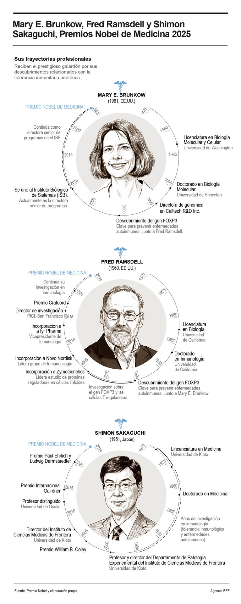 ¿Qué es la tolerancia inmunológica periférica que ha justificado hoy el Premio Nobel?