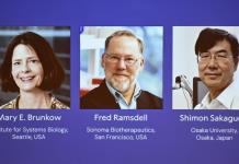 El Nobel de Medicina premia la investigación sobre el control del sistema inmunitario