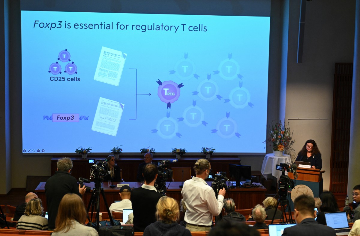 El Nobel de Medicina premia la investigación sobre el control del sistema inmunitario