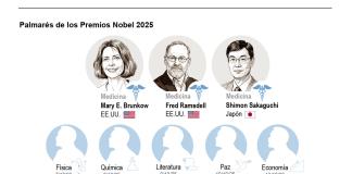 ¿Qué es la tolerancia inmunológica periférica que ha justificado hoy el Premio Nobel?