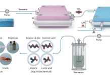 Un sistema captura CO2 y lo convierte en material para hacer plástico biodegradable