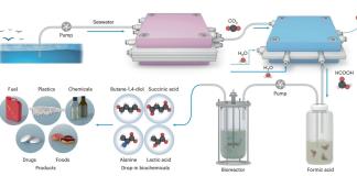 Un sistema captura CO2 y lo convierte en material para hacer plástico biodegradable