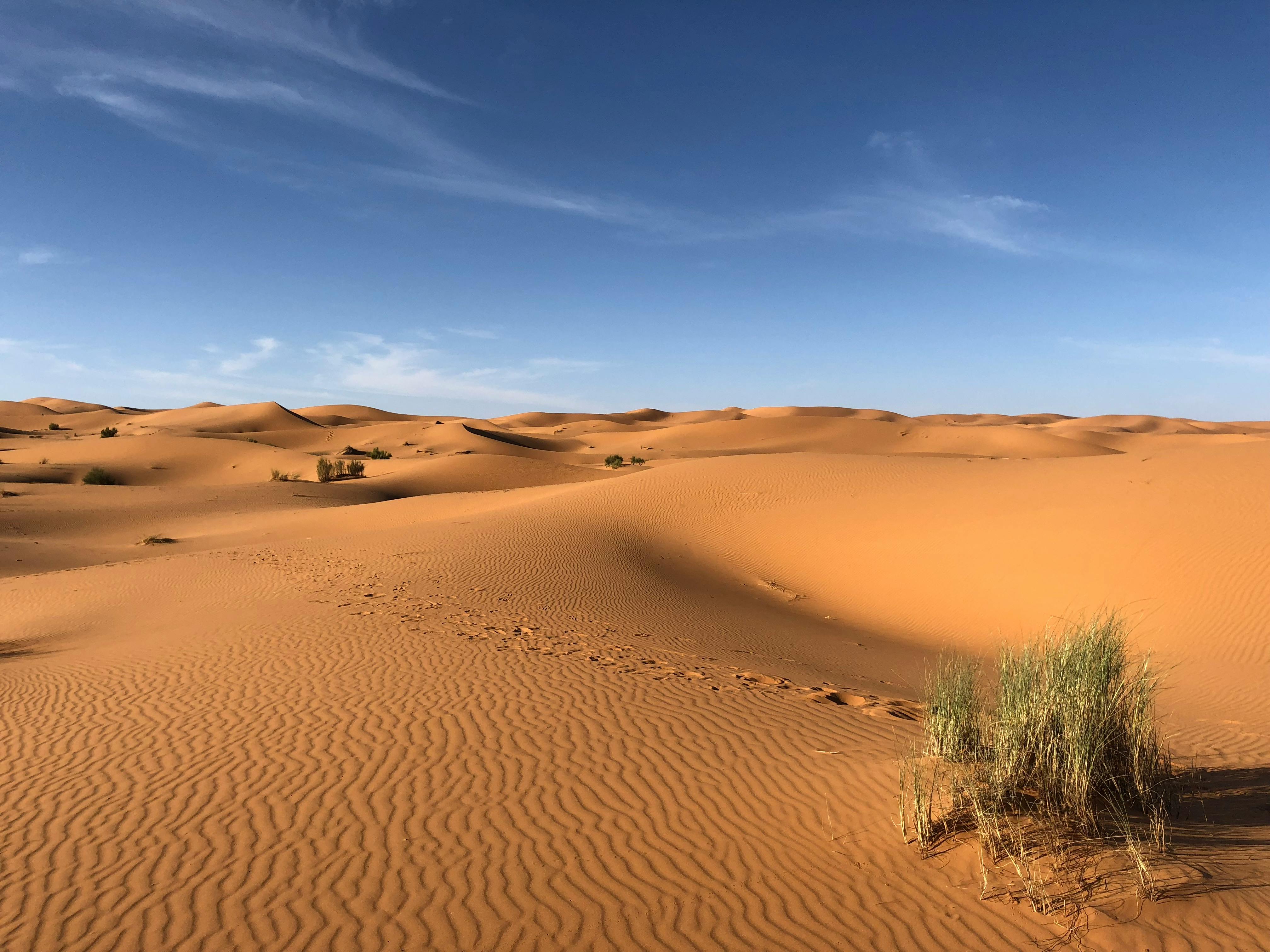 Las tácticas de guerra ucranianas llegan al desierto del Sáhara