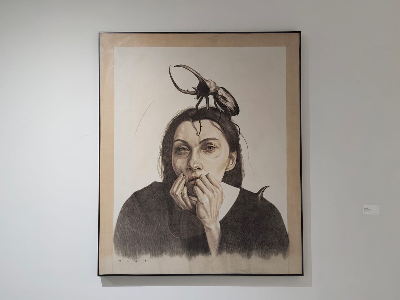 José Fors expone sus metáforas en “Todos Animales”, en la Galería Adentro
