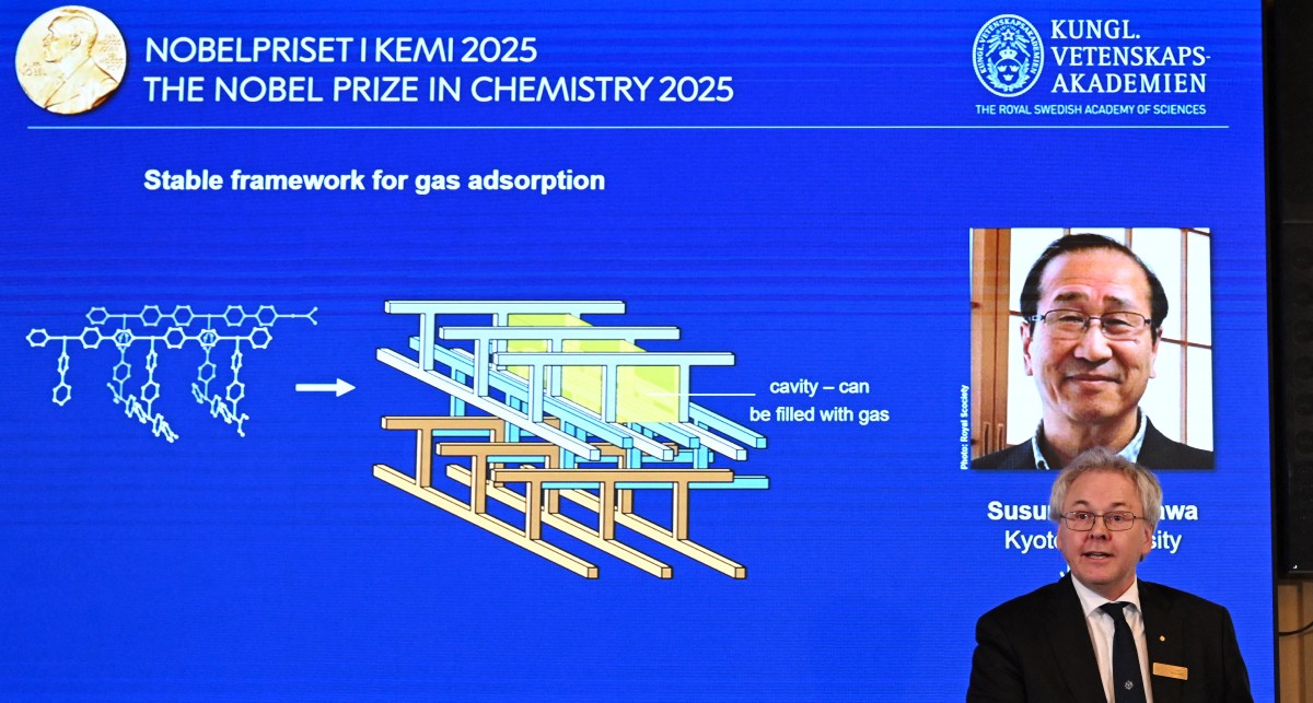 El Nobel de Química premia investigaciones sobre nuevas estructuras moleculares con enorme potencial