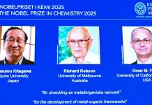 El Nobel de Química premia investigaciones sobre nuevas estructuras moleculares con enorme potencial