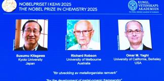 El Nobel de Química premia investigaciones sobre nuevas estructuras moleculares con enorme potencial