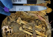 El microbioma intestinal de un joven del México precolombino desvela cambios evolutivos