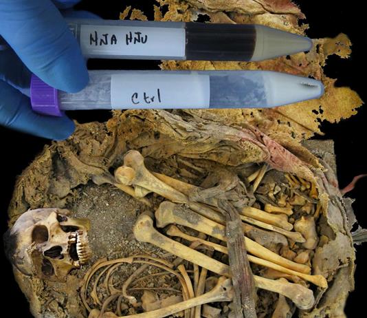 El microbioma intestinal de un joven del México precolombino desvela cambios evolutivos