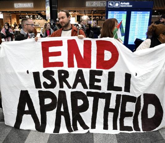 Israel intercepta una nueva flotilla para Gaza
