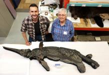 Identifican al dragón espada, una nueva especie de reptil marino prehistórico
