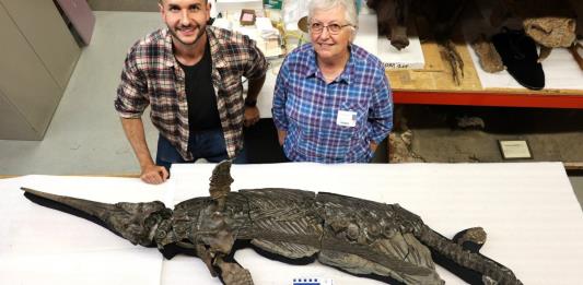 Identifican al dragón espada, una nueva especie de reptil marino prehistórico
