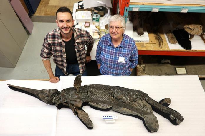 Identifican al dragón espada, una nueva especie de reptil marino prehistórico
