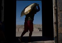 El guano, un tesoro agrícola bajo amenaza en Perú