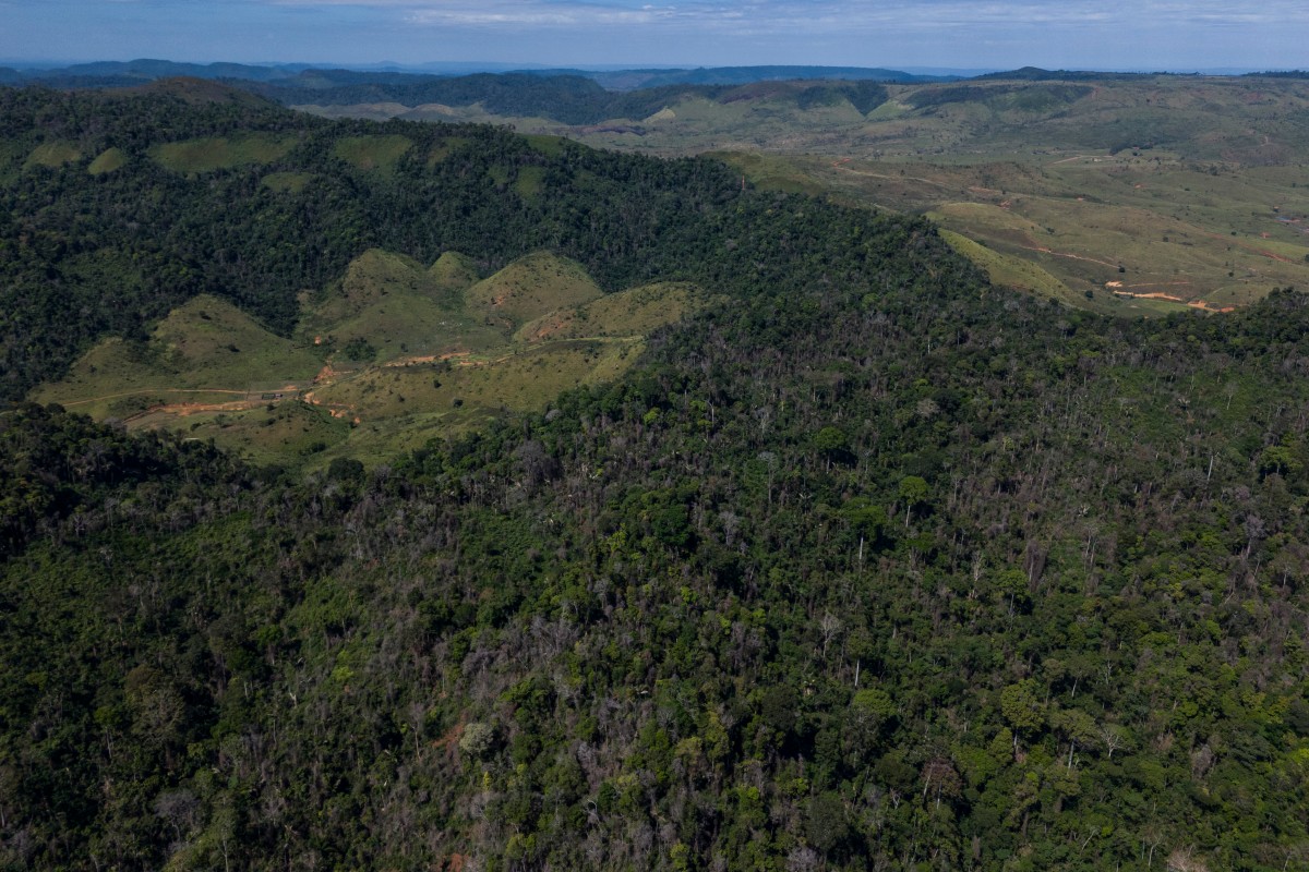 ¿Quién prende fuego a la Amazonía? ¿Quién prende fuego a la Amazonía?
