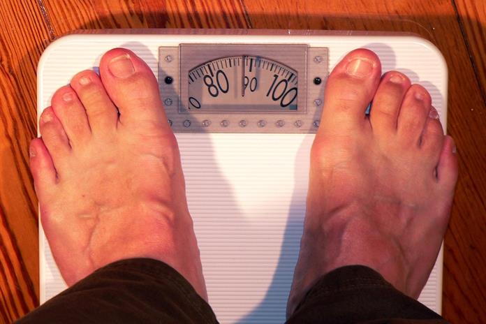 Sobrepeso es malnutrición; nutriólogos exigen inclusión en políticas públicas Sobrepeso es malnutrición; nutriólogos exigen inclusión en políticas públicas
