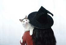 Gatos: mensajeros de lo sobrenatural Gatos: mensajeros de lo sobrenatural