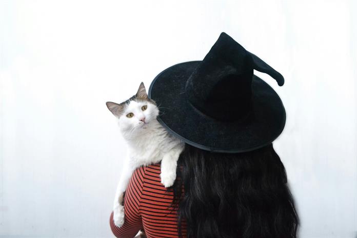 Gatos: mensajeros de lo sobrenatural Gatos: mensajeros de lo sobrenatural