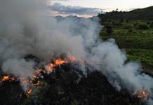 Las ONG denuncian en la COP30 la ambivalencia de Brasil y la falta de ambición y recursos