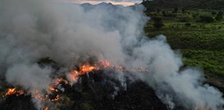 Las ONG denuncian en la COP30 la ambivalencia de Brasil y la falta de ambición y recursos