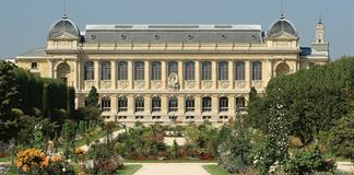 Prisión preventiva para una mujer china por robo de oro en un museo de París