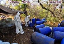 Aseguran más de 13,3 millones de dólares en drogas sintéticas en Sinaloa
