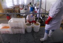 Argentina va a las urnas con una economía de bolsillos flacos y bajo tensión financiera