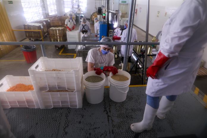 Argentina va a las urnas con una economía de bolsillos flacos y bajo tensión financiera Argentina va a las urnas con una economía de bolsillos flacos y bajo tensión financiera