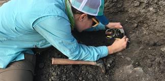 Los dinosaurios eran muy diversos y variados antes de extinguirse por un meteorito