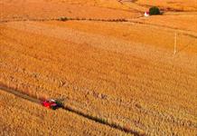Sector privado de México pide apoyos para productores de maíz ante condiciones adversas