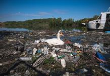 El Parlamento Europeo adopta normas más estrictas contra microplásticos