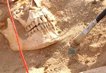 El ejército de Napoleón derrotado en Rusia en 1812 sufrió fiebre paratifoidea y recurrente