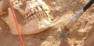 El ejército de Napoleón derrotado en Rusia en 1812 sufrió fiebre paratifoidea y recurrente